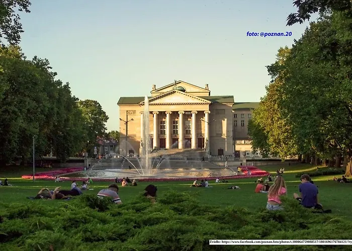 Spot * Познань